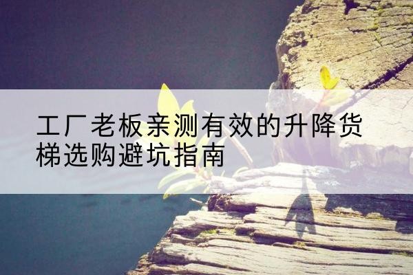 平果升降货梯怎么选-工厂老板亲测有效的升降货梯选购避坑指南