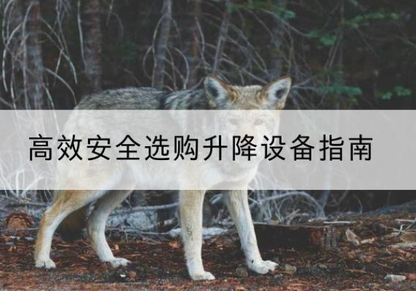 平果升降货梯厂家推荐-*安全选购升降设备指南