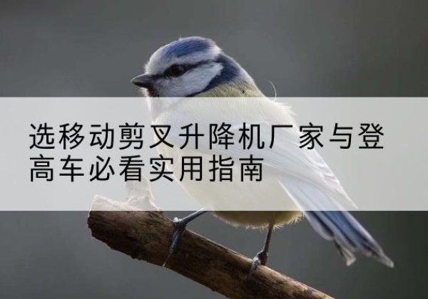 平果电动升降机厂家-选移动剪叉升降机厂家与登高车必看实用指南