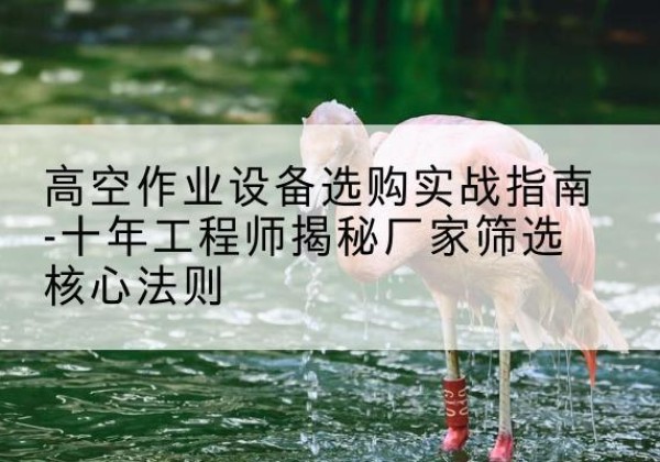 平果剪叉式升降机厂家-高空作业设备选购实战指南-十年工程师揭秘厂家筛选核心法则