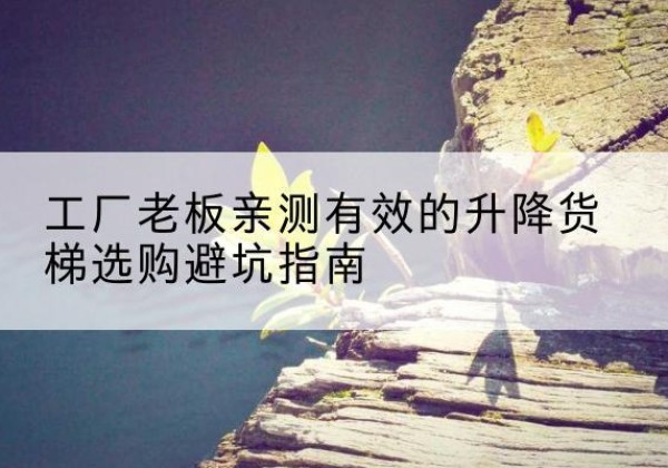 平果升降货梯怎么选-工厂老板亲测有效的升降货梯选购避坑指南